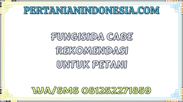 Fungisida Cabe Rekomendasi Untuk Petani